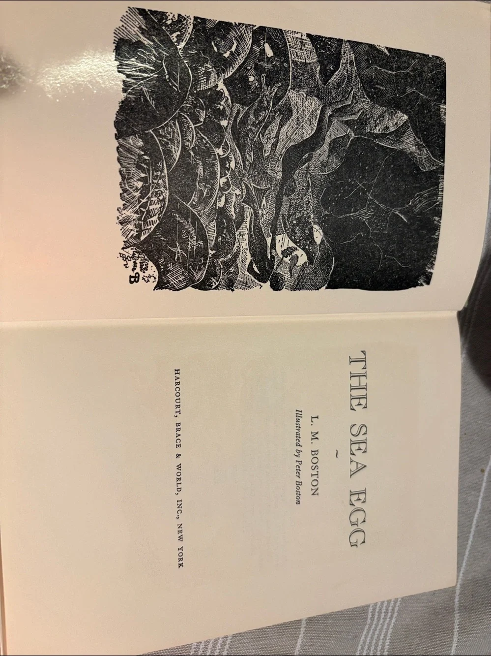 Vintage 1967 The Sea Egg by L.M. Boston Hardcover First Edition *RARE* EUC